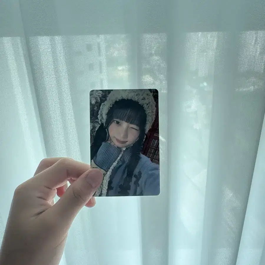 논껓 레이 포카