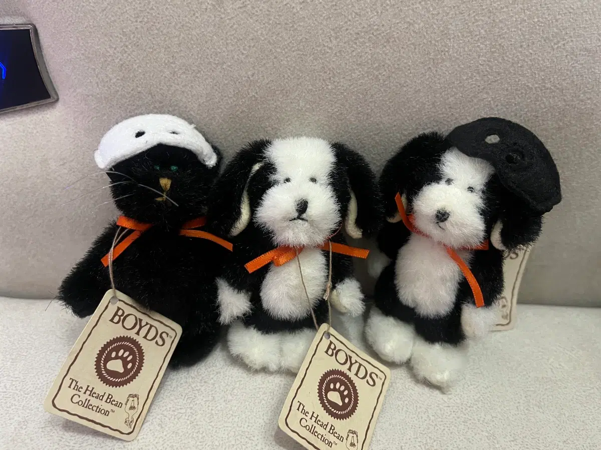 보이즈베어 쪼꼬미 강아지 2개 고양이 1개 일괄