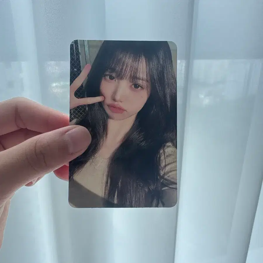 노랑 감성 원영포카
