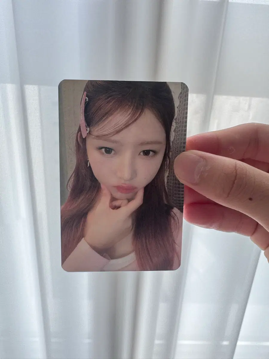 핑크 레이 포카