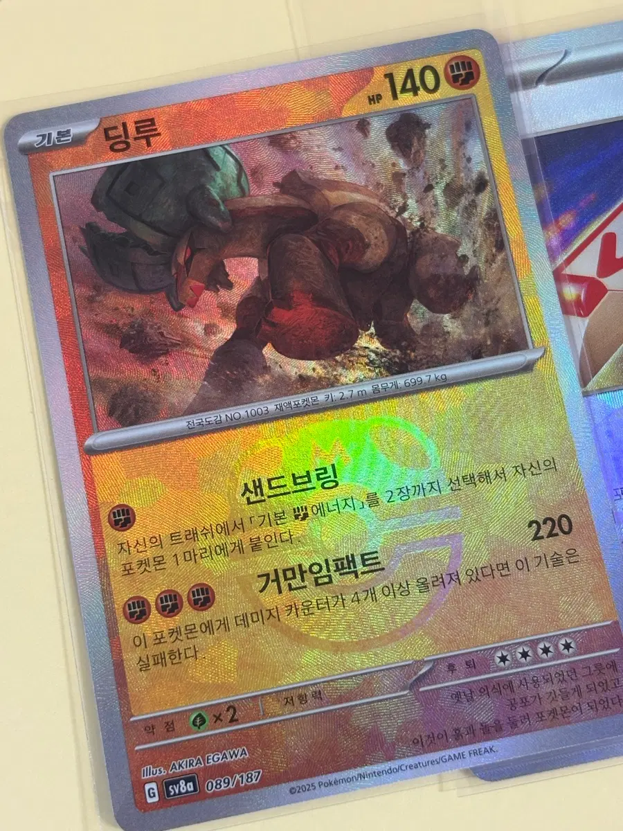 딩루 마스터볼