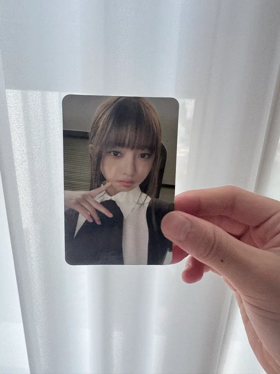 레이 포카