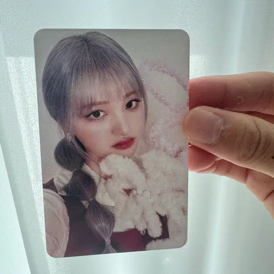 리즈 포카