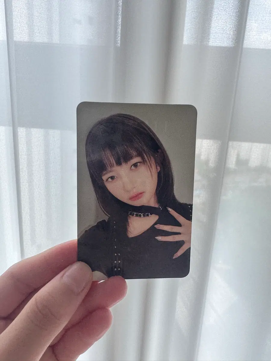 레이 포카