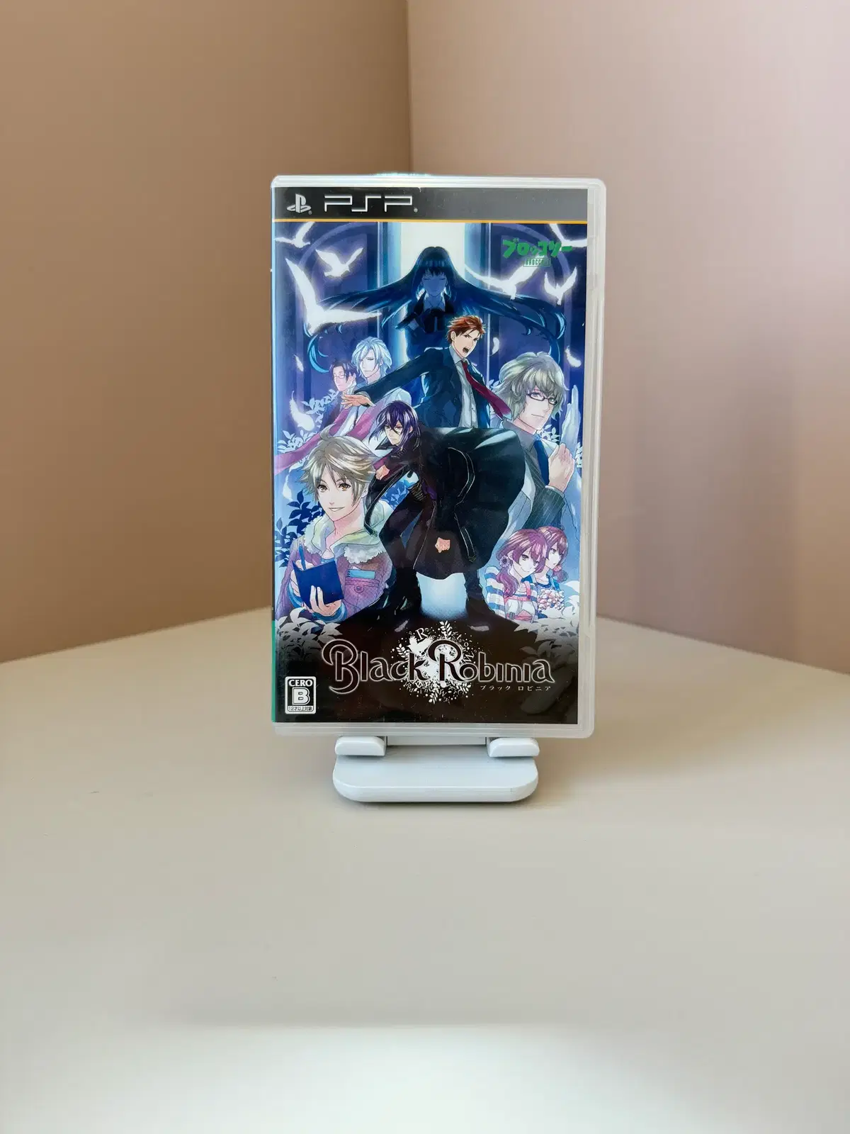 PSP 블랙 로비니아 일판