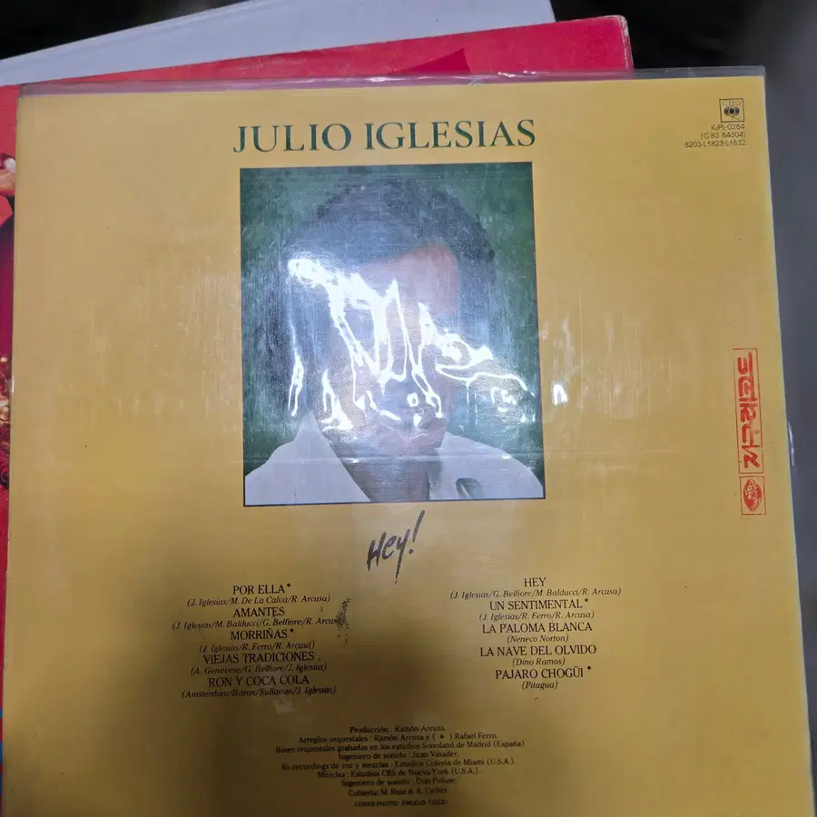 Julio Iglesias Hey! 1982 지구 레코드