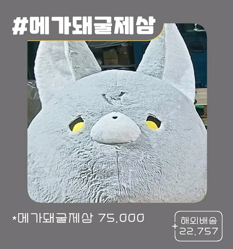 구함글)괴담출근 괴출 J3 돼굴제삼 메가돼굴제삼 구합니다