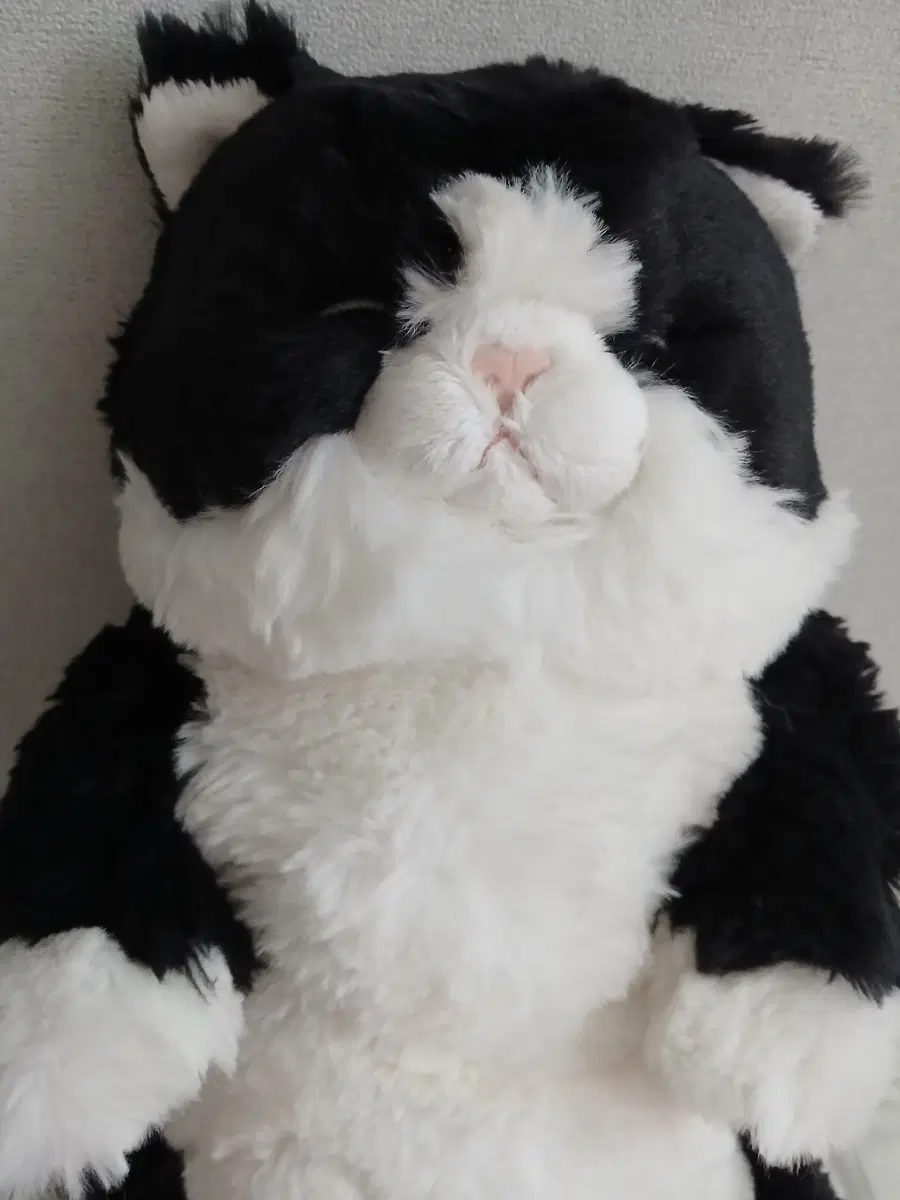 선레몬 쓰야쓰야 고양이 인형 블랙 검정고양이인형