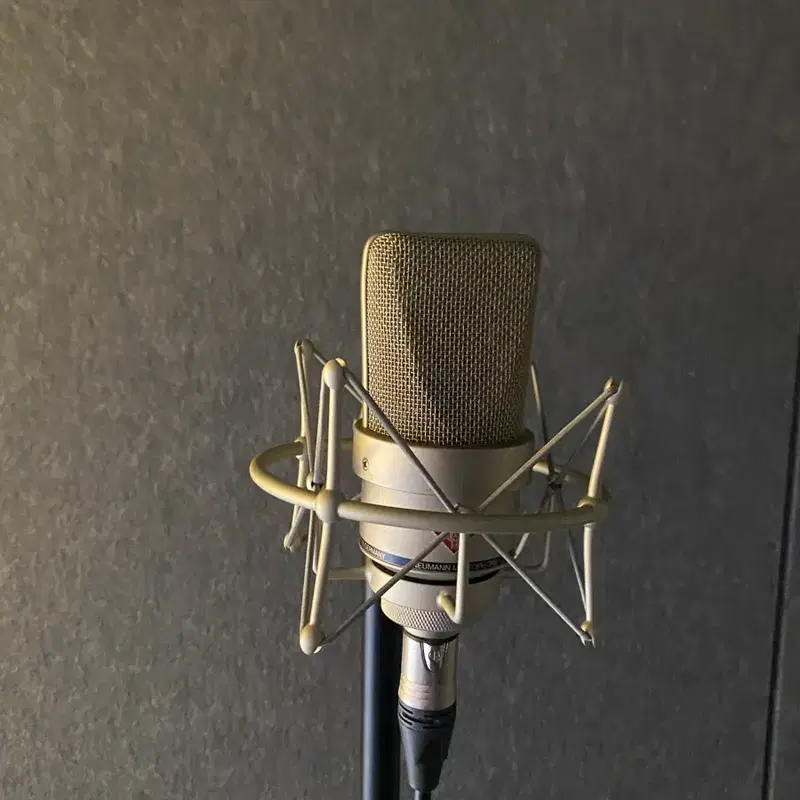 노이만 Neumann TLM103 + 쇼크마운트