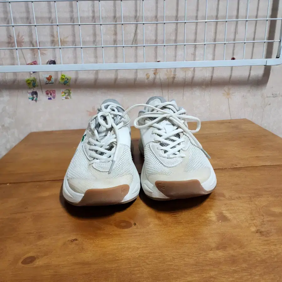 라코스테운동화(240-245)