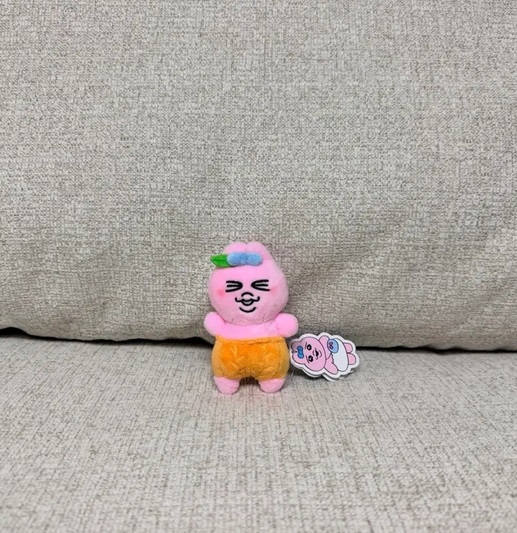 정품 빤쮸토끼 귤 봉제 키링 인형