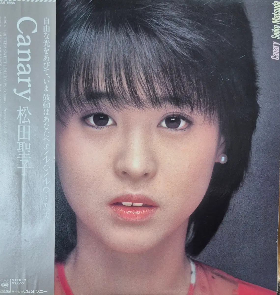 Canary 마츠다 쉐이코 LP