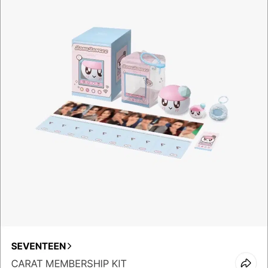 세븐틴 멤버쉽 키트 분철