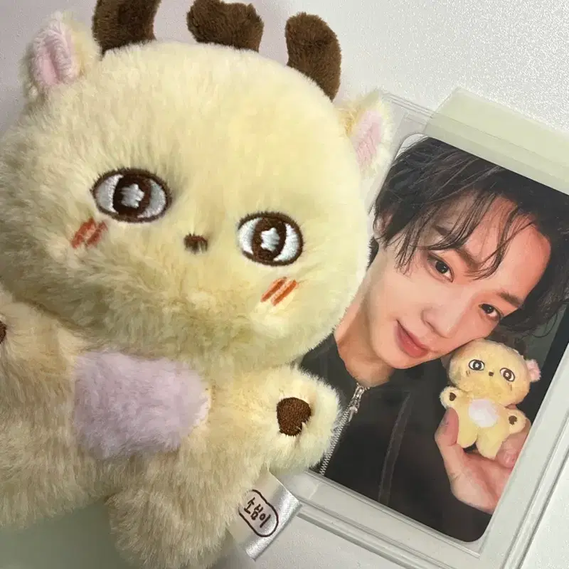 박지훈 소심이