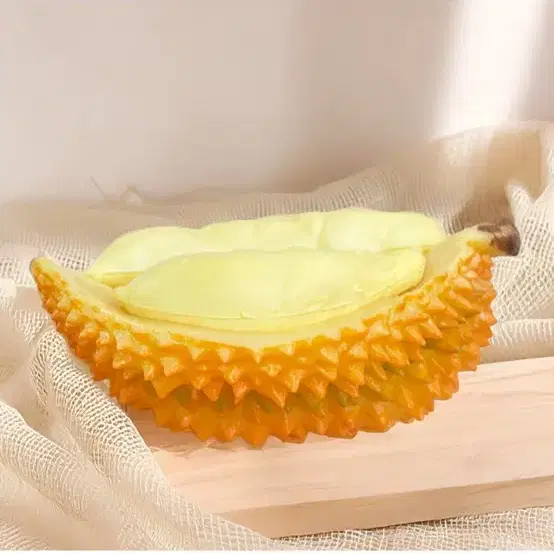 두리안 모형 팬싸템 졸사 장하오