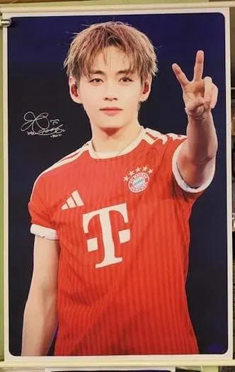 김 태현 V TATA 타타 BTS 태피스트리 새상품