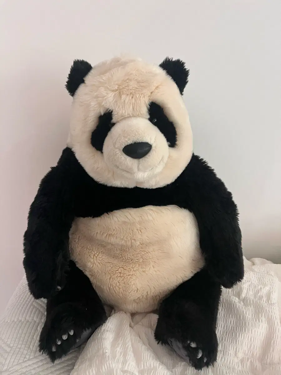 실사 푸바오 인형