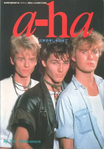 a-ha 껴안아줘