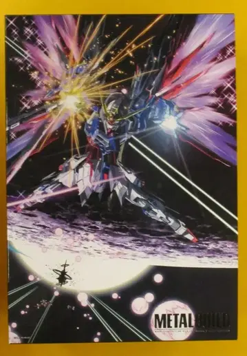 BANDAI METAL BUILD 기동전사 건담 SEED DESTINY 데스티니 건담 (풀 패키지)