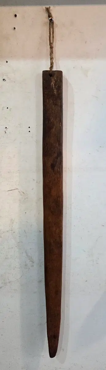 오랜세월의 나무 삼칼