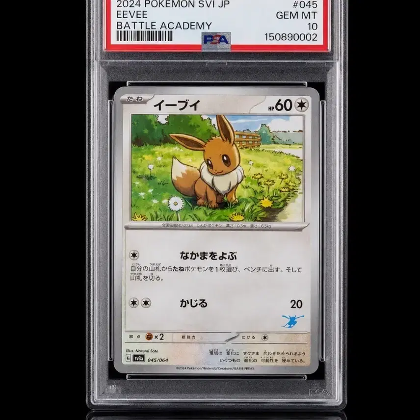 포켓몬카드 이브이 배틀 아카데미 045/064 PSA10 일본판