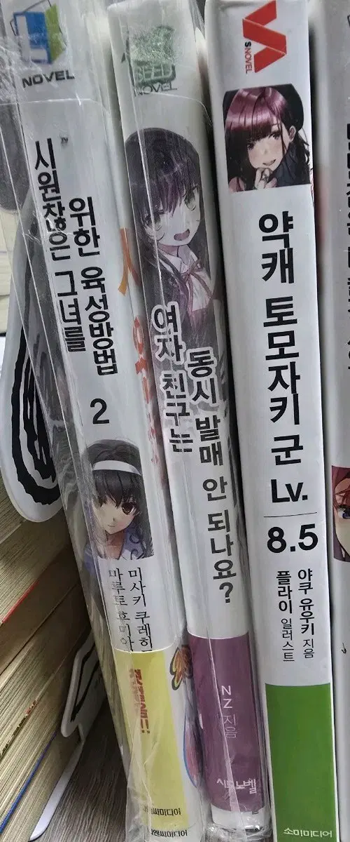 시원찮은그녀를위한육성방법, 여자친구는동시발매안되나요?, 약캐토모자키군Lv.