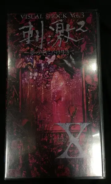 X VHS VISUAL SHOCK Vol.3 자극 2 -꿈속에서만 살아-