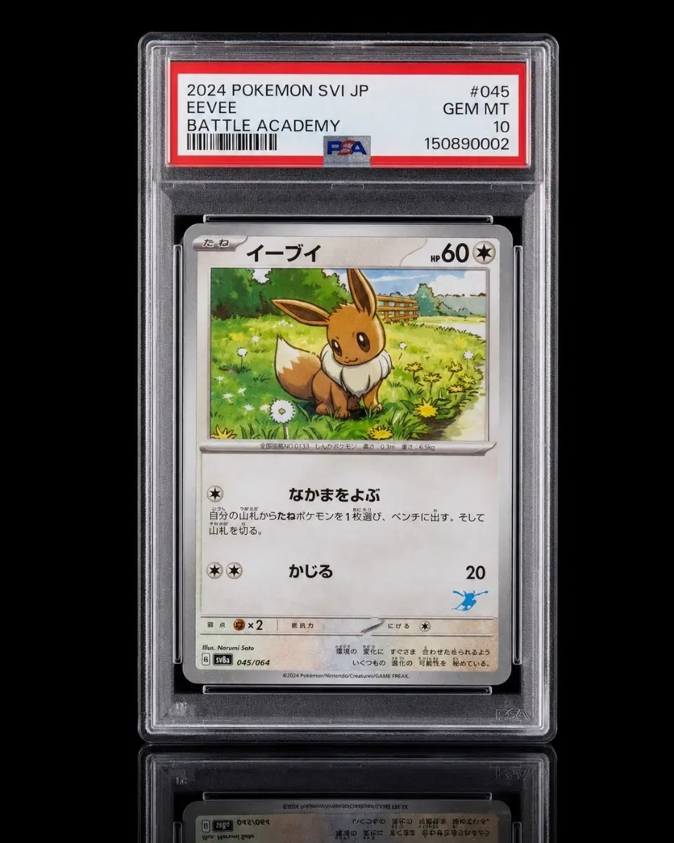이브이 + 블래키 PSA10 세트 일본 포켓몬카드