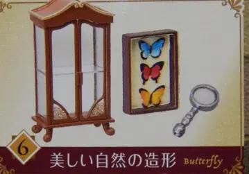 리멘트 Antique Shop 검은 고양이당 6. 아름다운 자연의 조형