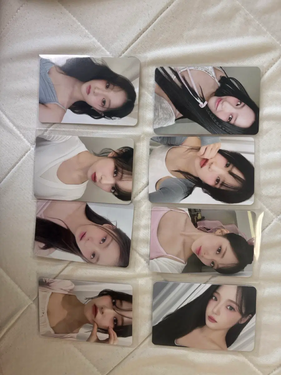 2024 프로미스나인 시그 포카 일괄 1.1