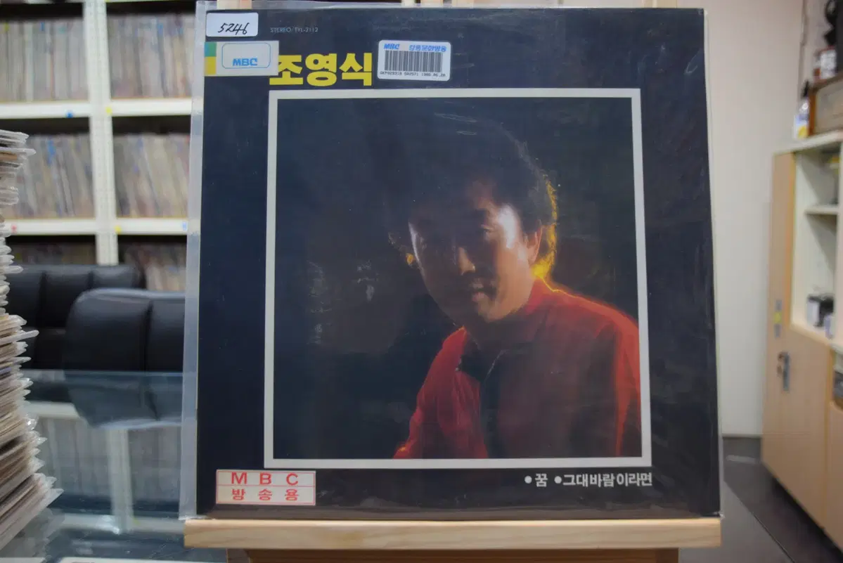 조영식 민트 : 꿈