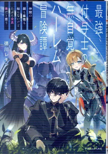 KADOKAWA 드래곤 노벨스 도쿠가와 레몬 최강 부여사의 무자각 하렘 모험담 동료의 얼굴도 출신도 모르지만 1