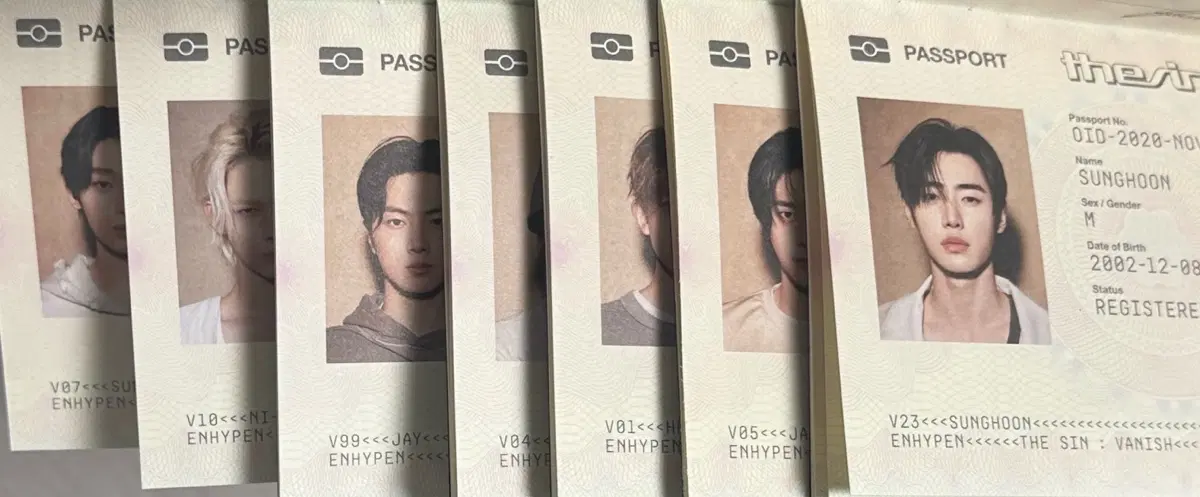엔하이픈 더신베니시 여권 7개 일괄