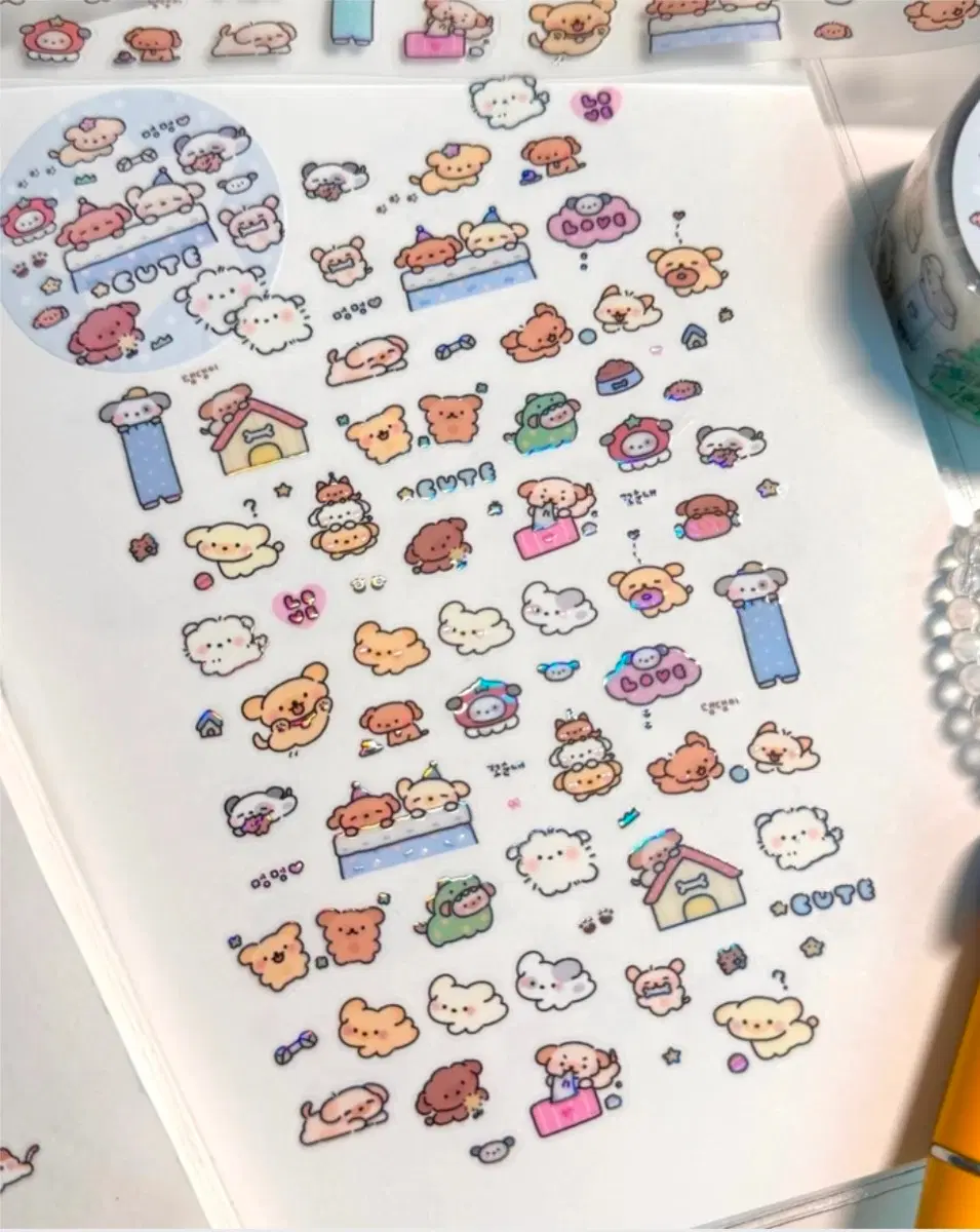 키스컷 띵(21) 메이빈 하찮은 댕댕즈