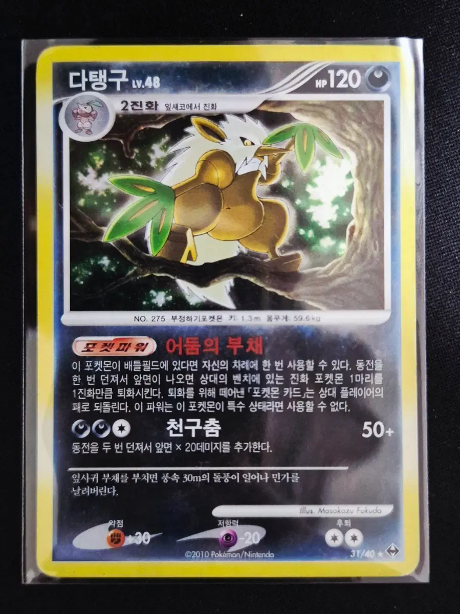 2010년 DP확장팩 포켓몬카드 다탱구 31/40