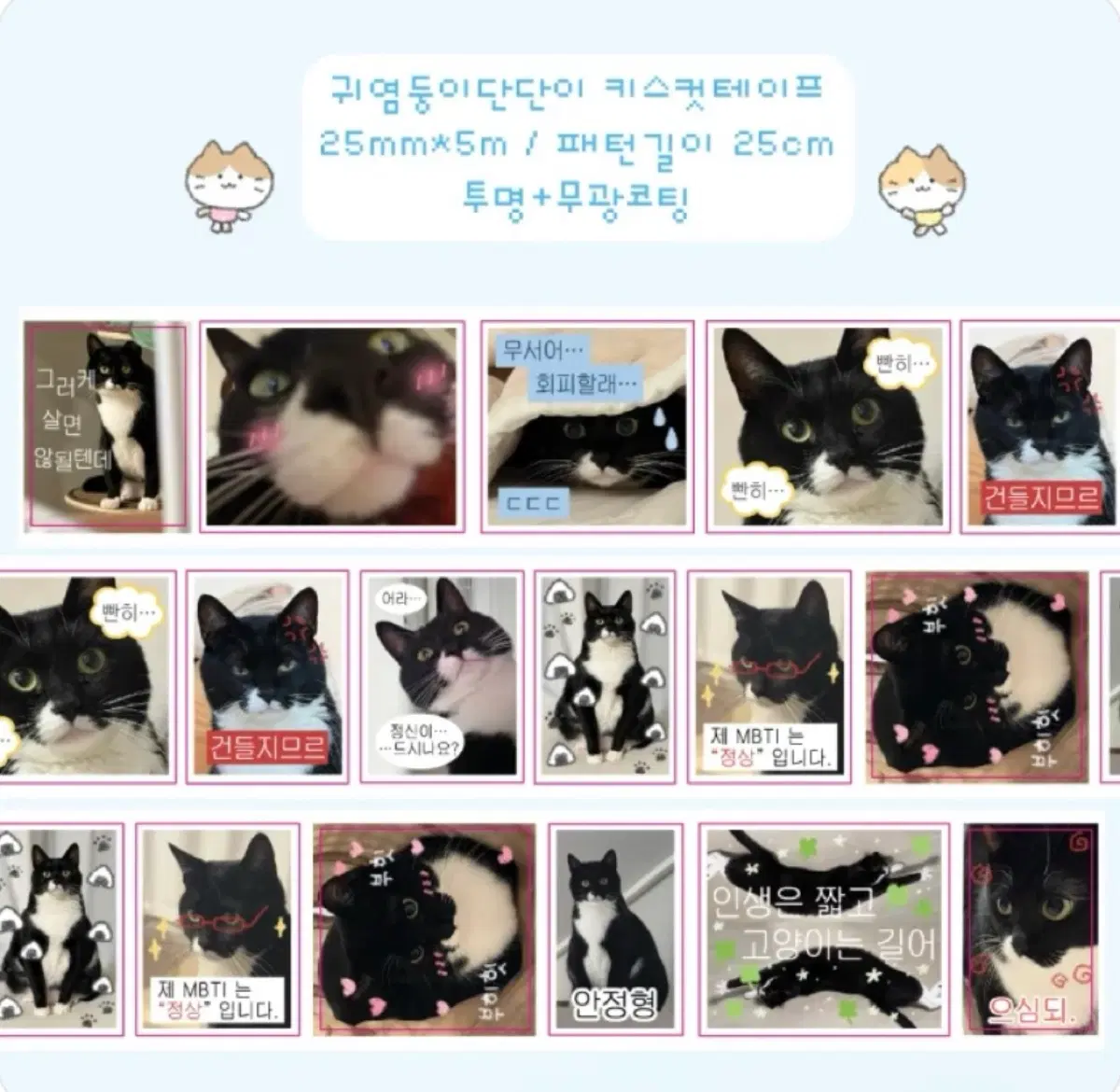 덩이나라 귀염둥이단단이 키스컷
