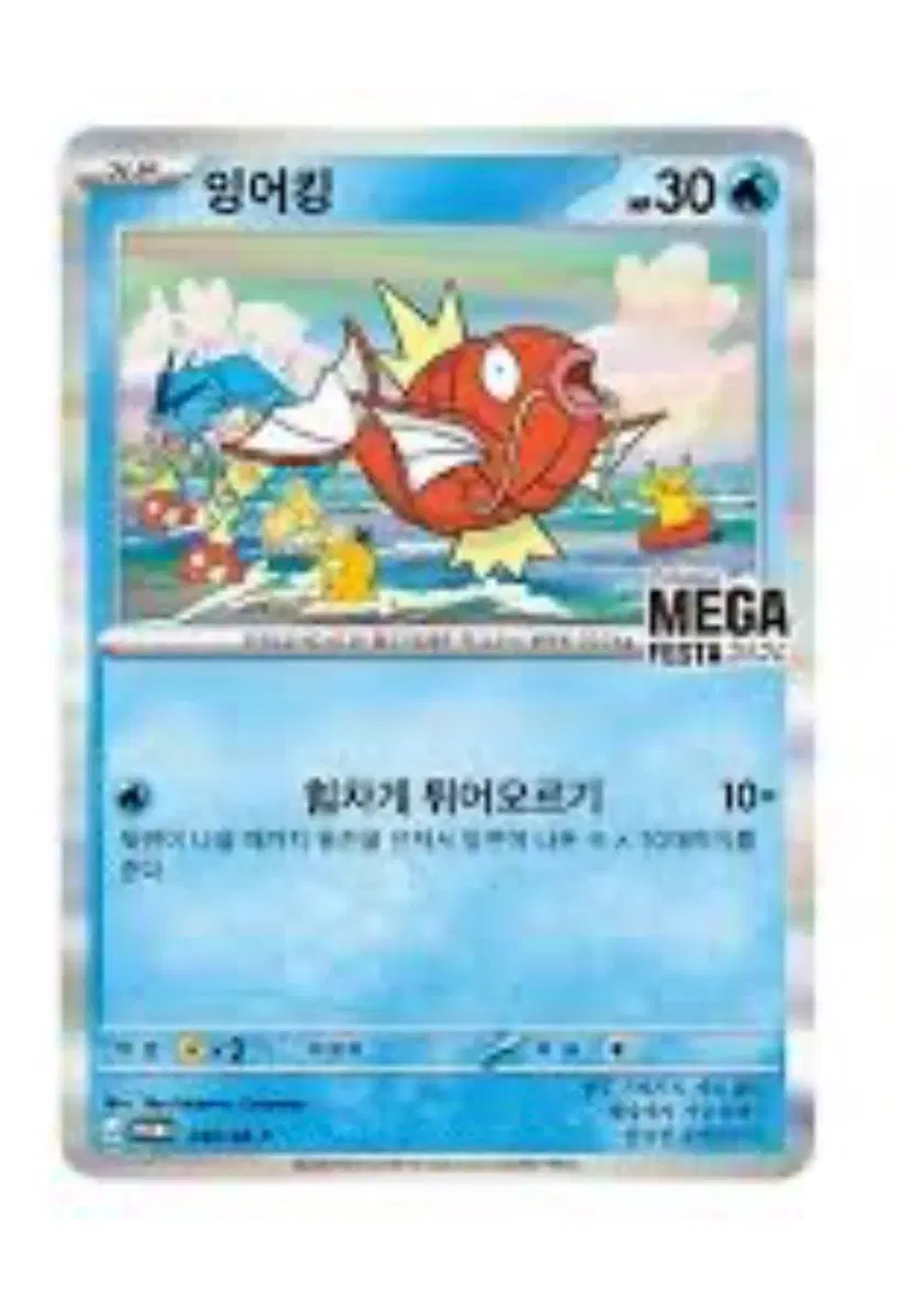 잉어킹 프로모