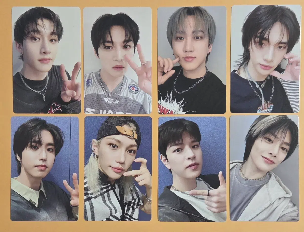 SKZ 스키즈 월드투어 블루레이 DVD 초도한정 포토카드 필릭스 방찬 리노 현진 아이엔 한 창빈 승민