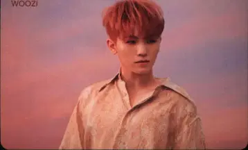 SEVENTEEN 떨어지는 꽃잎 WOOZI 트레이딩 카드 Pink