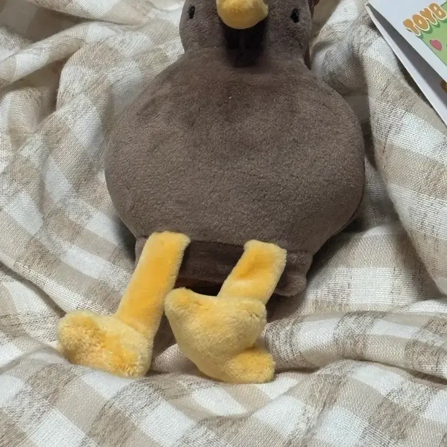 키위새 인형 키링