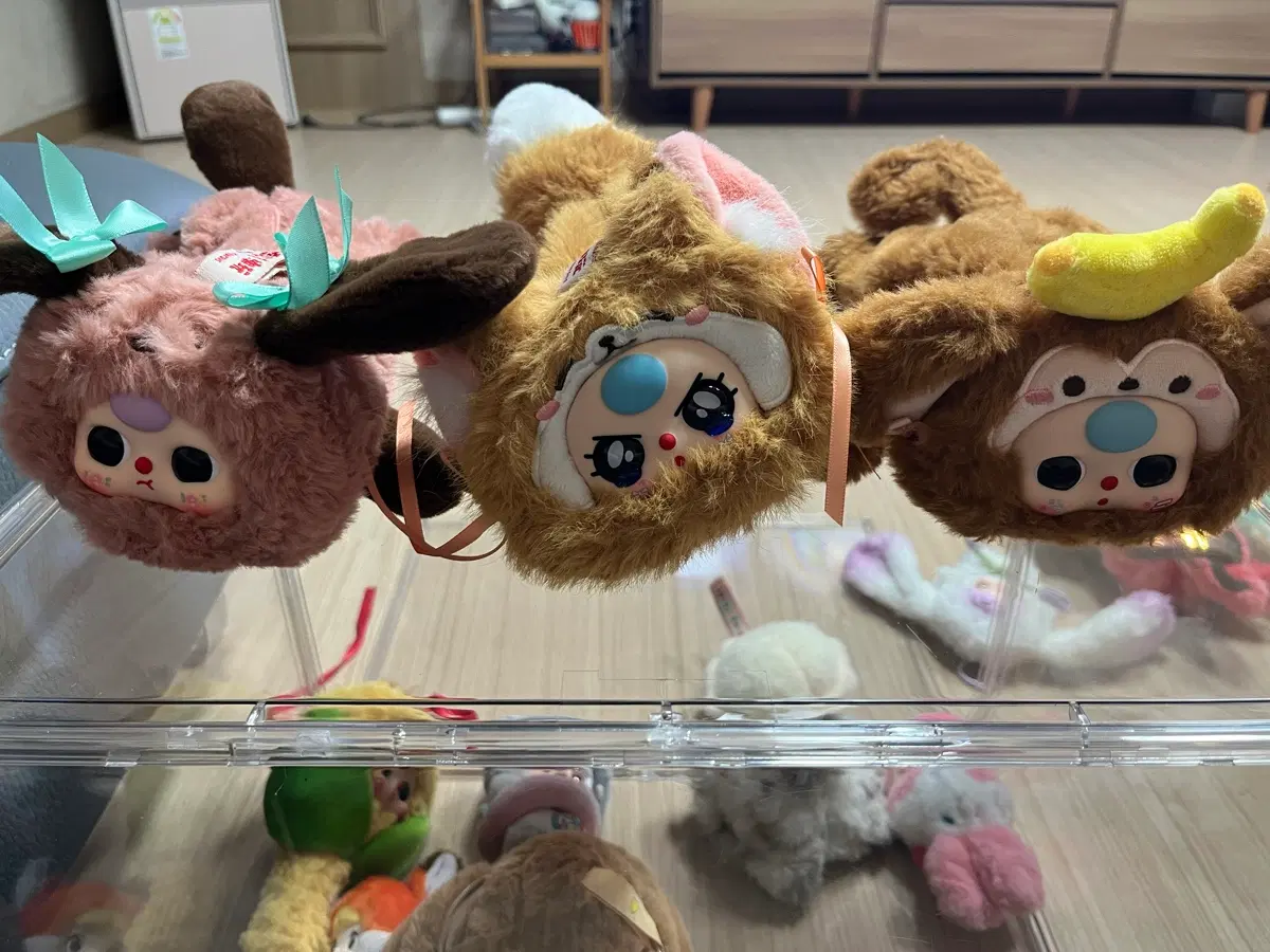인형 필통 일괄