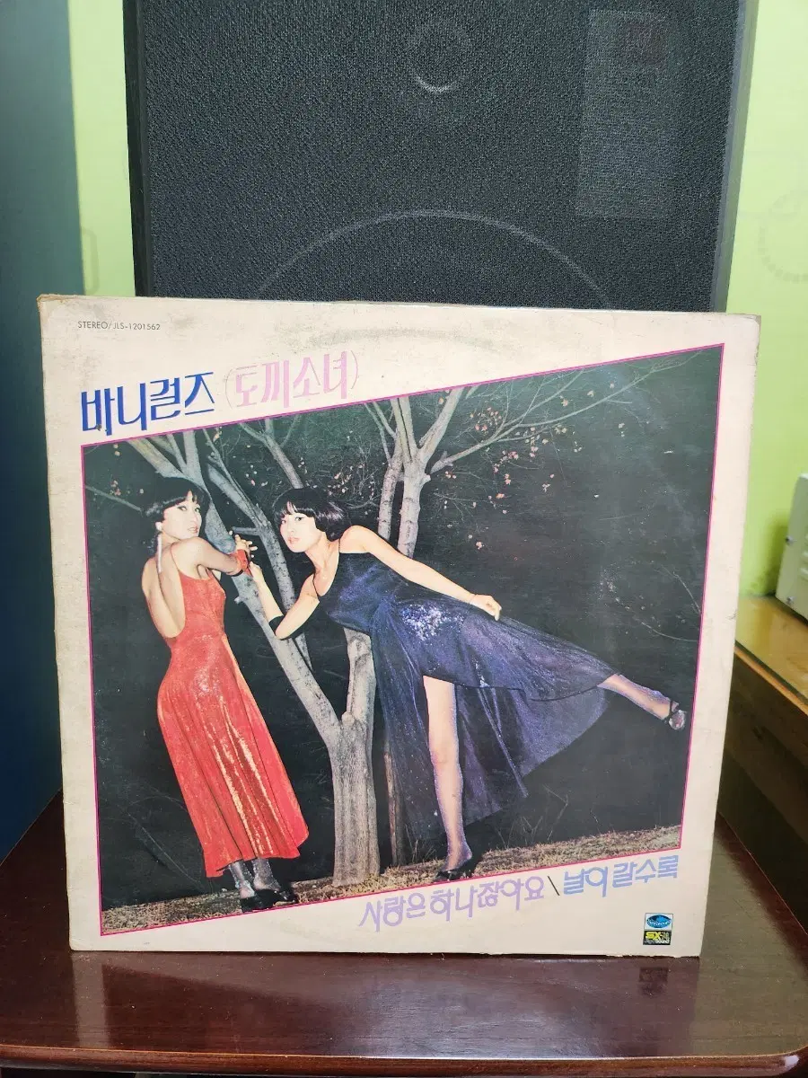 바니걸스 lp