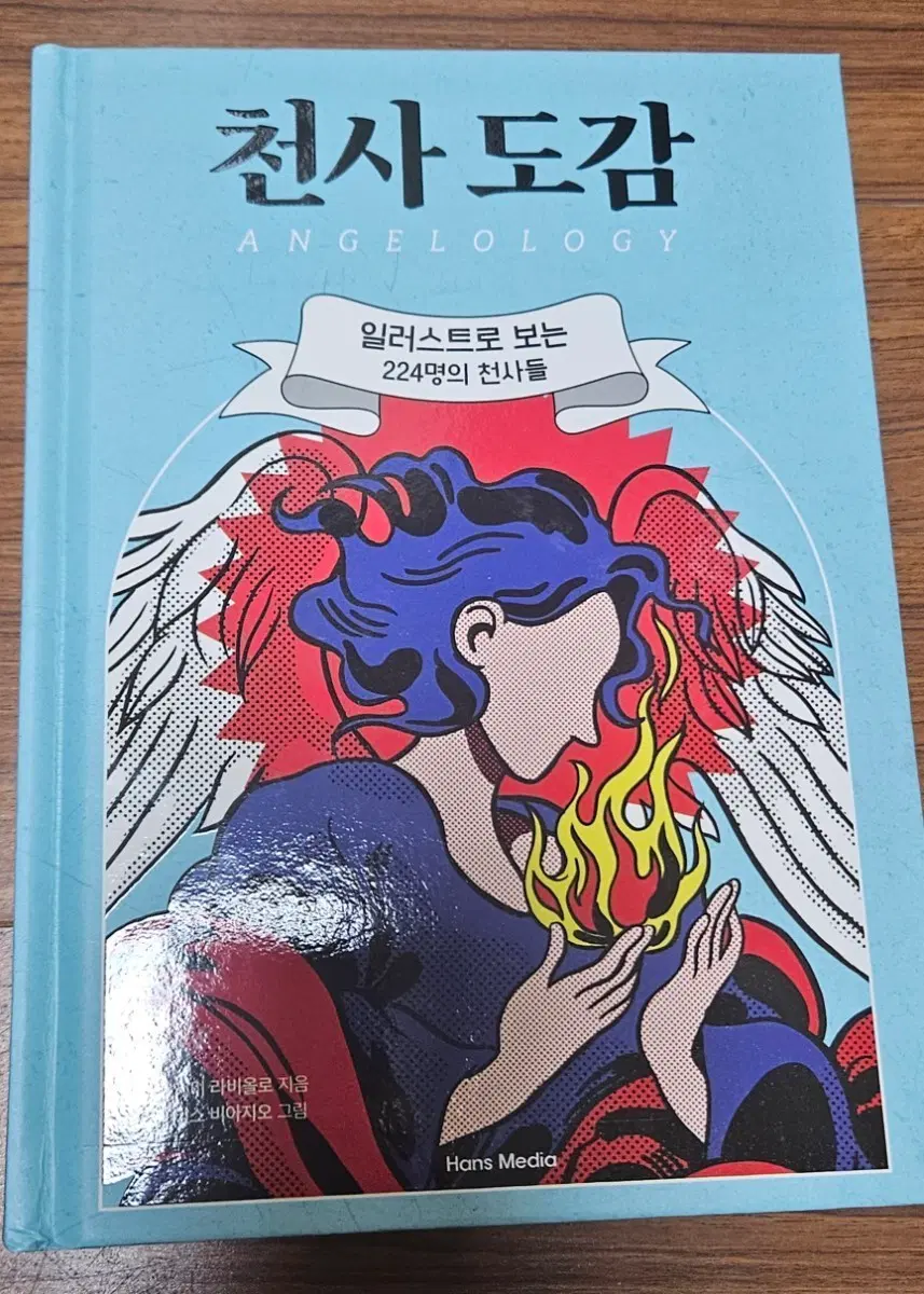 천사도감 텀블벅 책