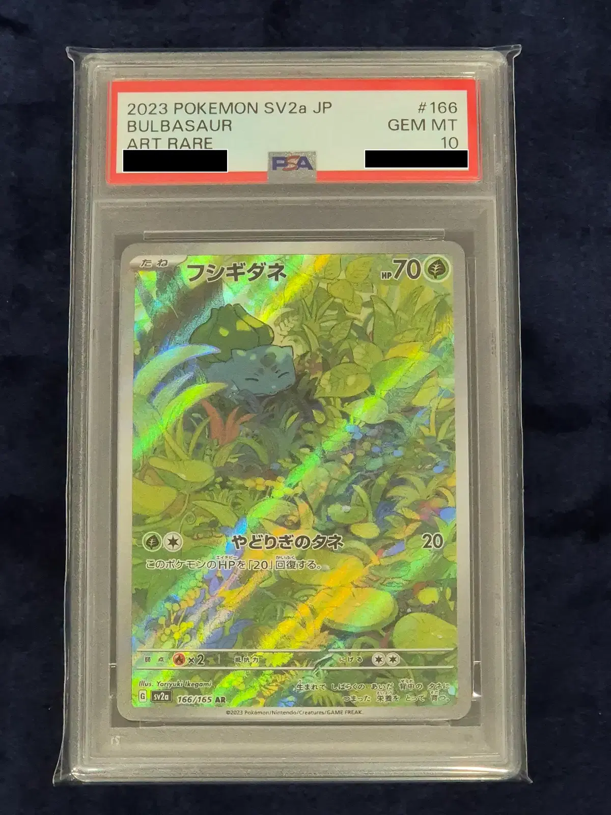 [PSA10] 이상해씨 AR