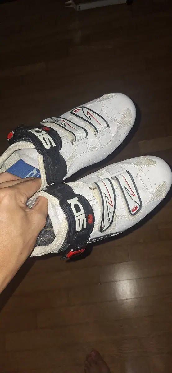 SIDI 클릿 슈즈 흰색