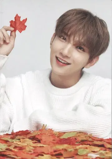 SEVENTEEN 조슈아 2019 ODE to You IN JAPAN 트레이딩 카드 68