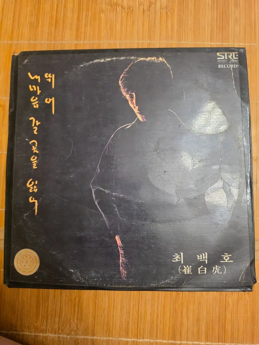 최백호 윤정하 LP