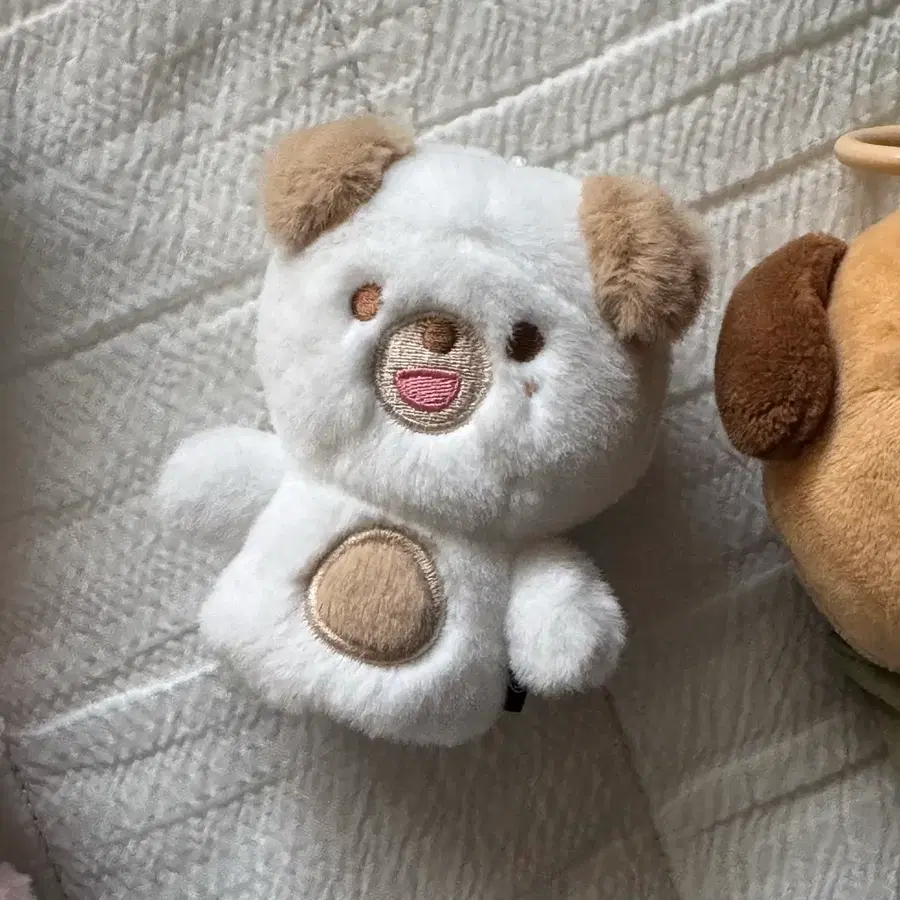 데이식스 데니멀즈 손가락인형 돈