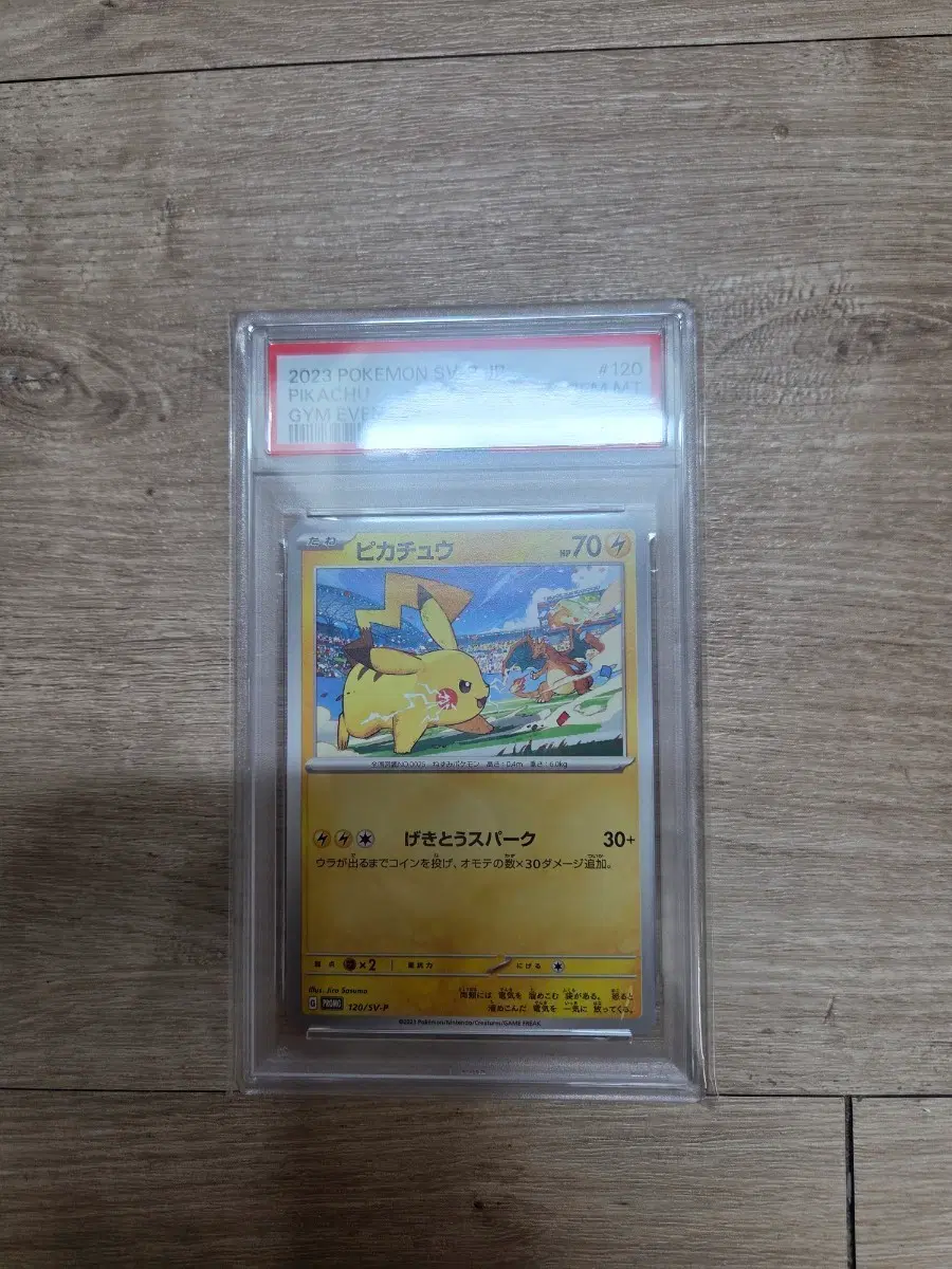 psa10 짐 프로모 피카츄