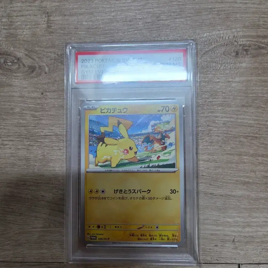 포켓몬 psa10 짐 프로모 피카츄